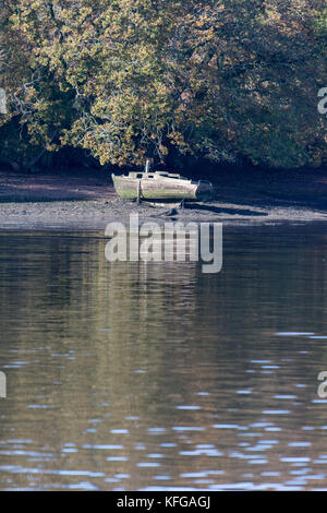 Old boat on the banks of the Upper Cleddau waterway at low tide. Stock Photo