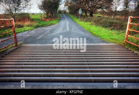Cattle grid in Wales Stock Photo