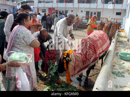 Jammu, India. 28th Oct, 2017. Locals worshiping cow on Gopalashtmi festival in Jammu. Credit: Shilpa Thakur/Pacific Press/Alamy Live News Stock Photo