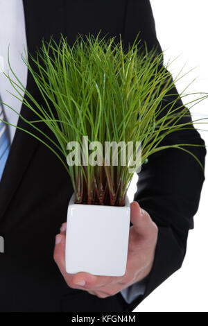 Smiling businessman with a fresh green plant in his pocket in place of a folded handkerchief in a conceptual image  isolated on white Stock Photo