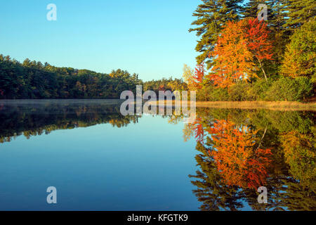 Fall foliage at Kingston State Park in Kingston, New Hampshire, Rockingham County, in October, during the off-season Stock Photo