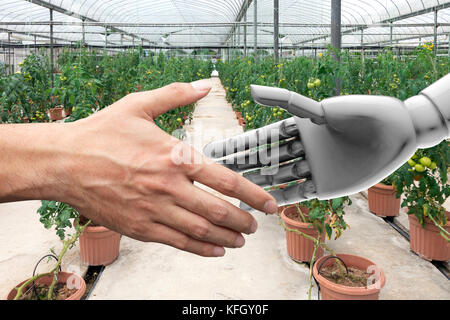 Smart agriculture , Artificial intelligence (AI) advisor or robo-adviser technology. Shaking hands of orchard farmer and automation robot with automat Stock Photo
