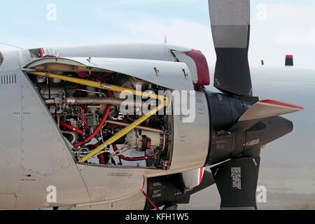 Close-up of an Allison T56 turboprop engine on a German Navy P-3C Orion maritime patrol aircraft with open inspection panel Stock Photo