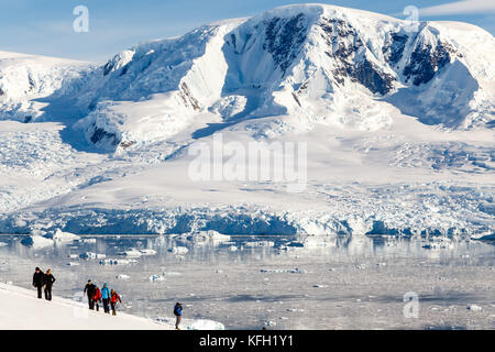 Group of people hiking the snowy mountains with glacier in the background, Neco bay, Antarctic Stock Photo