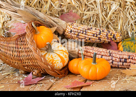 Colorful pumpkins, gourds and corn with straw background Stock Photo