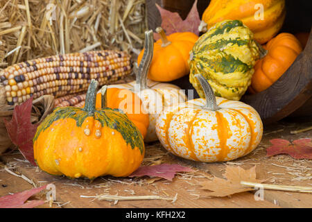 Colorful autumn pumpkins and gourds spilled onto a wooden surface Stock Photo