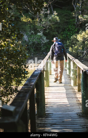 Man peering over the side of a footbridge in New Zealand Stock Photo