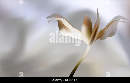 Rose petal Fire flaming flower Stock Vector