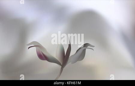 Rose petal Fire flaming flower Stock Vector