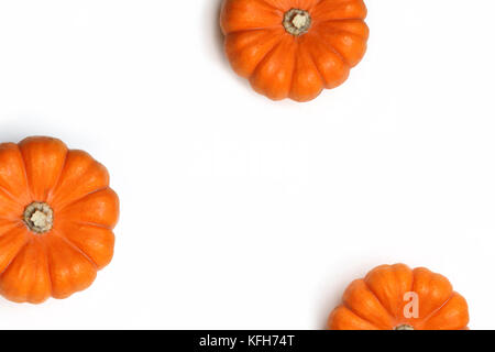 Autumn frame made of orange pumpkins isolated on white background. Fall, Halloween and Thanksgiving concept. Styled stock flat lay photography. Top view. Empty space for your text. Stock Photo