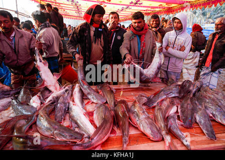 A fish stall at Poradaha Mela near Garidaha River in Gabtali upazila of Bogra district in Bangladesh. The main attractions of this 150-year-old tradit Stock Photo