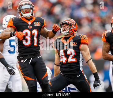 Cincinnati Bengals Defensive Back Clayton Fejedelem Editorial Stock Photo -  Stock Image