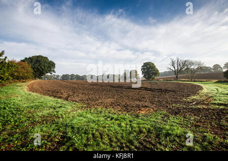Long shadows over a sunlit field on a bright autumn morning - West Sussex Stock Photo