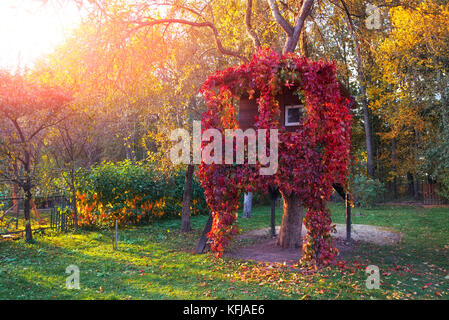 A house on a tree Stock Photo