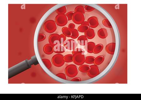 Hand holding magnifying glass for looking red blood cells. Stock Vector