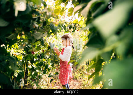 Small girl gardening in the backyard garden. Stock Photo
