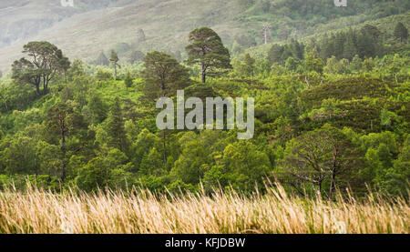 landscape on the A835 road to Ullapool Stock Photo