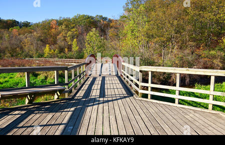 Boardwalk hiking trail through forest and marshlands in Royal Botanical Gardens in Burlington and Hamilton, Ontario, Canada in autumn
