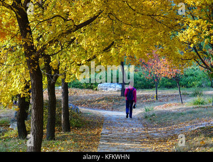 Beijing, Beijing, China. 30th Oct, 2017. Beijing, CHINA-October 2017:(EDITORIAL USE ONLY. CHINA OUT) Autumn scenery of Beijing Botanical Garden. Credit: SIPA Asia/ZUMA Wire/Alamy Live News Stock Photo