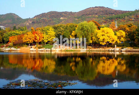 Beijing, Beijing, China. 30th Oct, 2017. Beijing, CHINA-October 2017:(EDITORIAL USE ONLY. CHINA OUT) Autumn scenery of Beijing Botanical Garden. Credit: SIPA Asia/ZUMA Wire/Alamy Live News Stock Photo