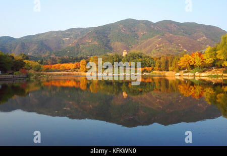 Beijing, Beijing, China. 30th Oct, 2017. Beijing, CHINA-October 2017:(EDITORIAL USE ONLY. CHINA OUT) Autumn scenery of Beijing Botanical Garden. Credit: SIPA Asia/ZUMA Wire/Alamy Live News Stock Photo