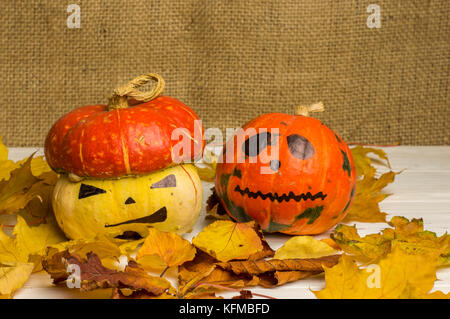 Halloween Pumpkins among Autumn Leaves
