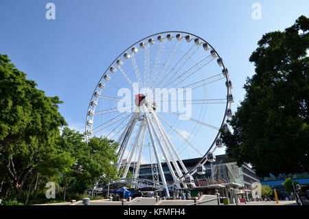 The Wheel of Brisbane, a tourist attraction on South Bank, Brisbane, Queensland, Australia Stock Photo