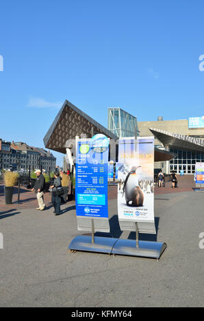 Information Banners &Ticket information outside the New England Aquarium in Boston, MA  USA Stock Photo