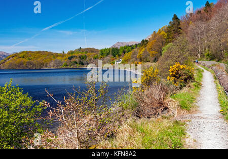 West Higland Way trail along Loch Lomond, Scotland Stock Photo