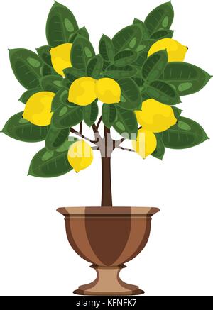 Lemon tree in a flowerpot vector illustration Stock Vector