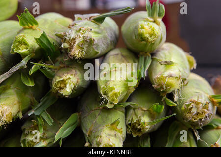 Fresh corn on the cob in husks after harvest Stock Photo