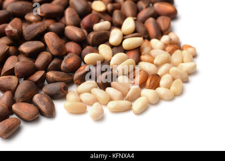 Close up of cedar nuts on white background Stock Photo