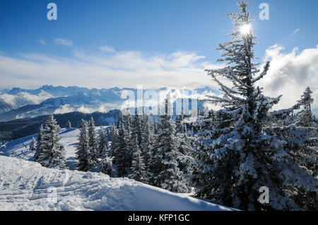 Sun is hiding behind tree in a winter scenery in the alps Stock Photo