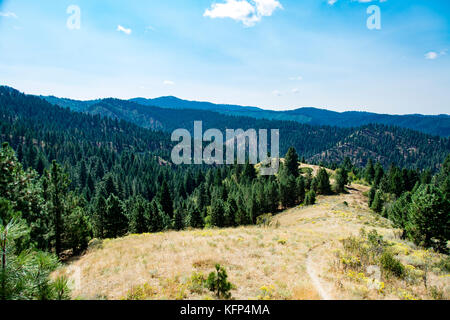 USA, Idaho, Boise, Boise National Forest, Long Creek Road, Field in