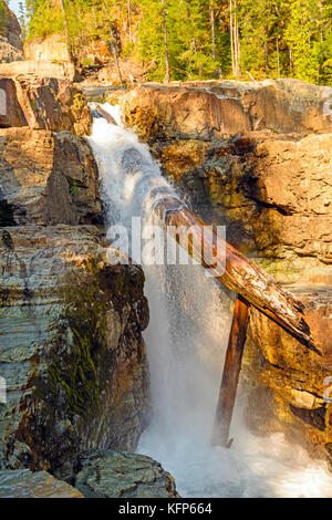 Log Jam on Lower Myra Falls in Strathcona Provincial Park Stock Photo