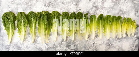 Raw of fresh organic romain lettuce salad leaves from big to small on marble white black backgruond. Top view. View from above Stock Photo