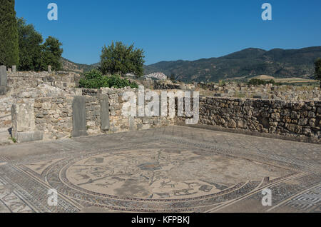 Mosaic floor, Volubilis ruins, the excavations of the roman city in the archaeological site Volubilis, North Morocco. Stock Photo