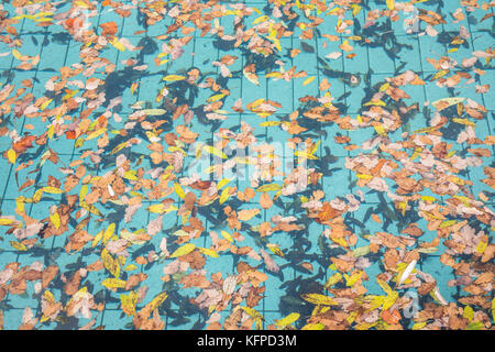 Public swimming pool, closed for the season, in fall, Stock Photo