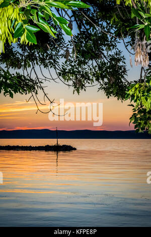 Colorful sunset at lake.  Vivid sky through tree branches on summer evening at lake Balaton, Hungary. Stock Photo