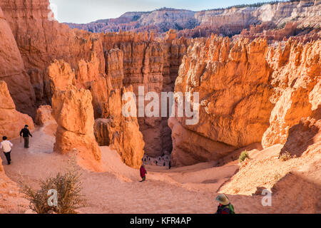 Bryce Canyon down to Wall street in Utah, US Stock Photo