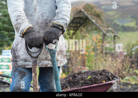 Gardener holding a spade and fork after removing old weed membrane and wood bark from a vegetable garden made up of heavy soil. Scottish borders. Stock Photo