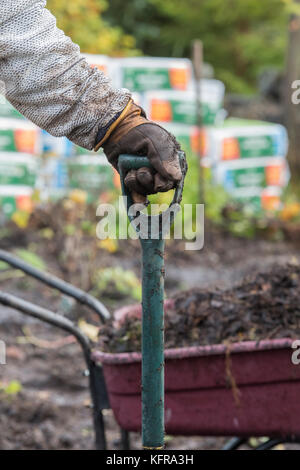 Gardener holding a spade after removing old weed membrane and wood bark from a vegetable garden made up of wet heavy soil. Scottish borders, Scotland Stock Photo