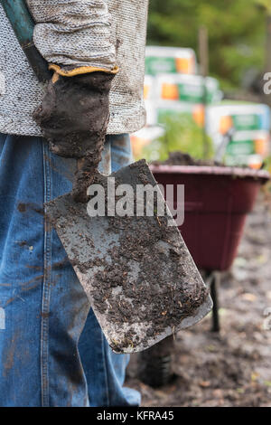 Gardener holding a spade after removing old weed membrane and wood bark from a vegetable garden made up of wet heavy soil. Scottish borders, Scotland Stock Photo