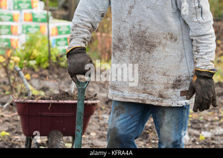 Gardener holding a spade after removing old weed membrane and wood bark from a vegetable garden made up of wet heavy soil. Scottish borders, Scotland Stock Photo