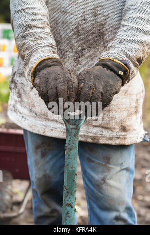 Gardener holding a spade after removing old weed membrane and wood bark from a vegetable garden made up of wet heavy soil. Scottish borders, Scotland Stock Photo