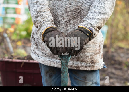 Gardener holding a spade after removing old weed membrane and wood bark from a vegetable garden made up of wet heavy soil. Scottish borders, Scotland Stock Photo