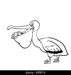 Isolated Pelican Cartoon,  isolated on white background. Black and White simple line Vector Illustration for Coloring Book - Line Drawn Vector Illustr Stock Vector