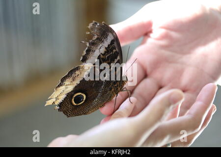 Nature Shots Stock Photo