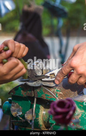 blacksmith and apprentice are made of iron rose handmade Stock Photo