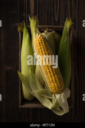 Fresh corn cobs on the dark rough wooden table. Still life in da Stock Photo